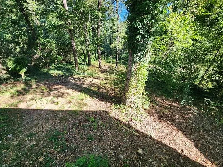 8612 Westwood Ave — Photo 10