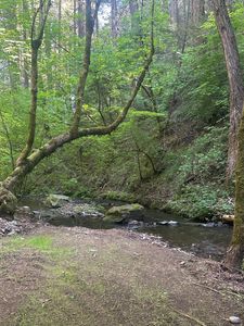 Clear Creek Rd, Placerville, CA, 95667