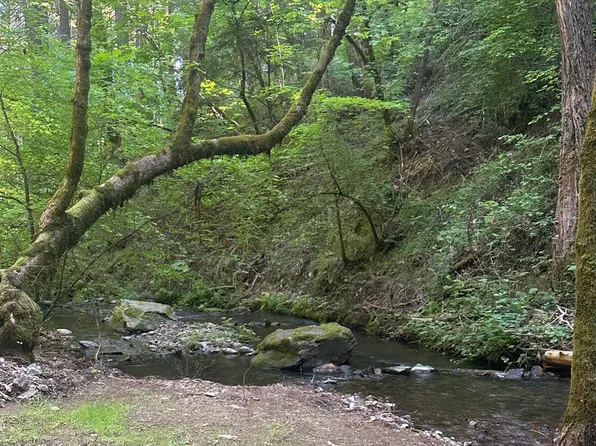 Clear Creek Rd, Placerville, CA 95667