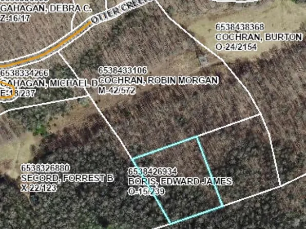 Tbd Otter Creek Road Nantahala, Topton, NC 28781