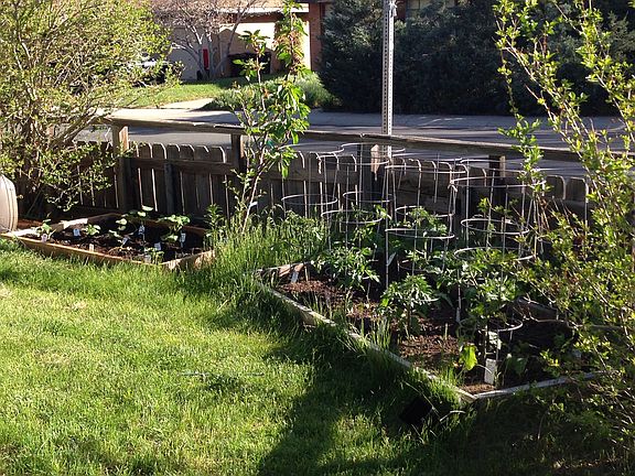 Front yard garden beds