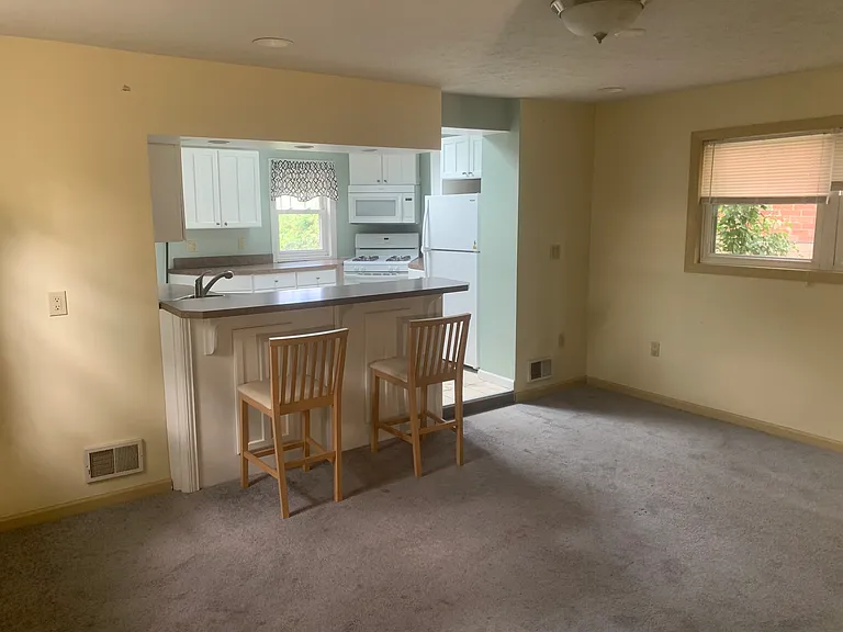 517 Ogden Ave — Photo 5