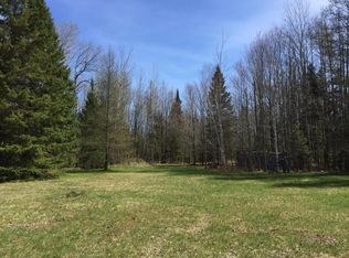 5533 Reams Road 20 Acres, Alanson, MI 49706