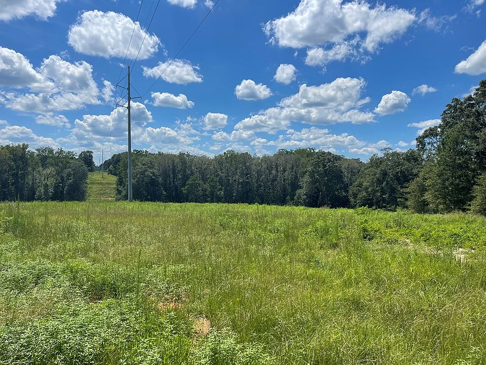 1 County Road 2213, Goshen, AL 36035 | Zillow