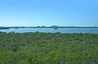 1st image of 4811 Island Pond Ct Unit 503