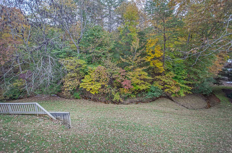 Thumbnail 19