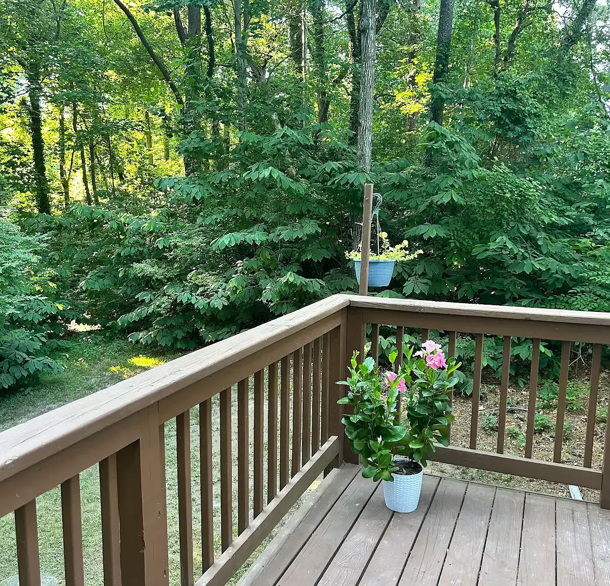 3 bed, 2.5 bath, 1600 sqft, $2,300 — Photo 3