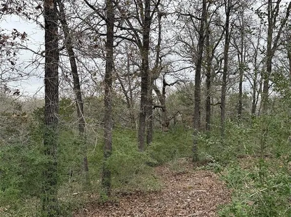 0 Wailupe Cir, Bastrop, TX 78602