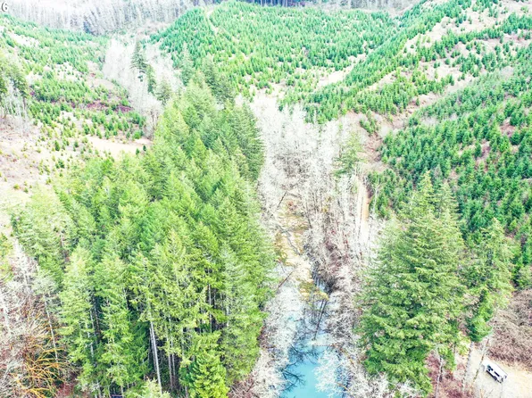 Marys Peak Rd #Tl501, Blodgett, OR 97326