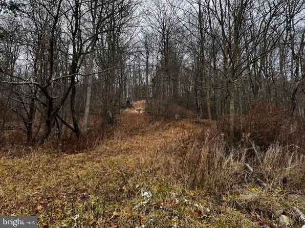 649 Buffalo Rd, Buffalo Mills, PA 15534