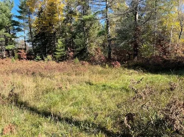 Near Moon Lake Rd S, Watersmeet, MI 49969