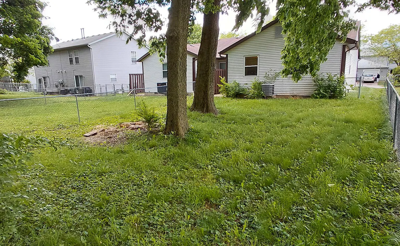 3 bed, 1000 sqft, $1,600 — Photo 4