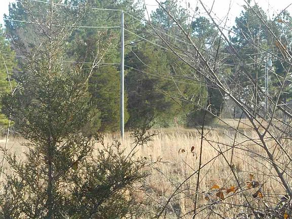 2nd image of 139B Wilkins Ln