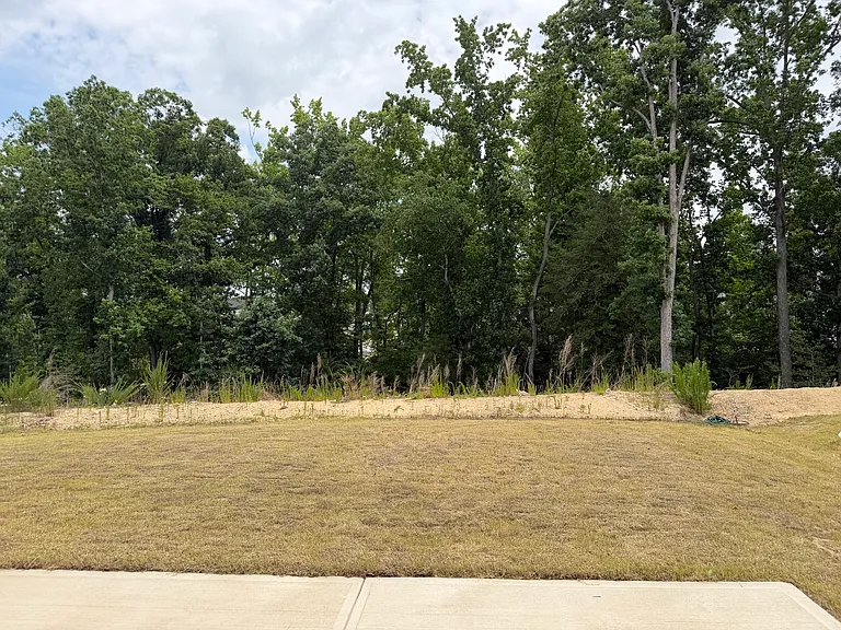 2409 Abbot Hall Dr — Photo 28