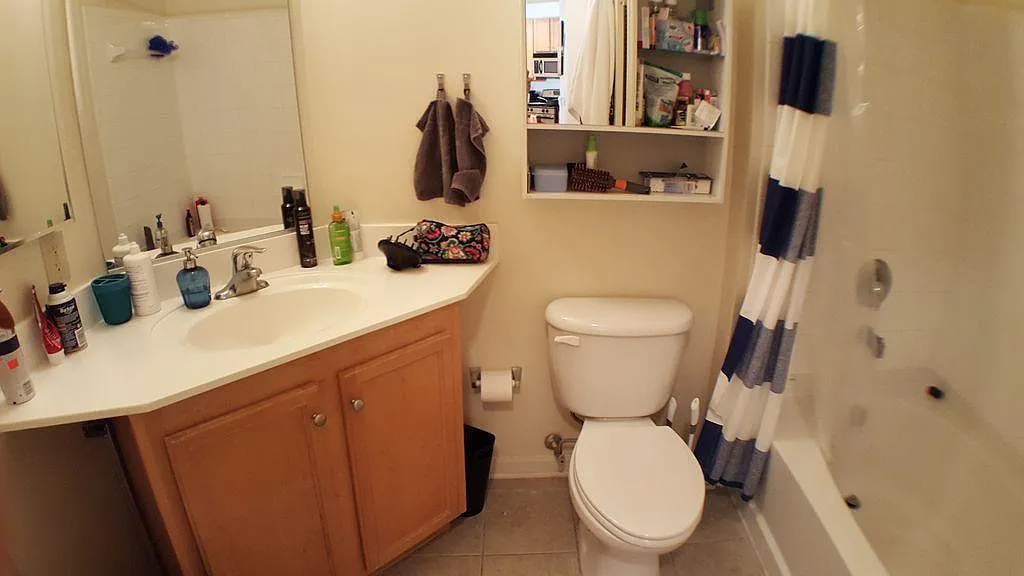 1 bed, 704 sqft, $2,100 — Photo 4