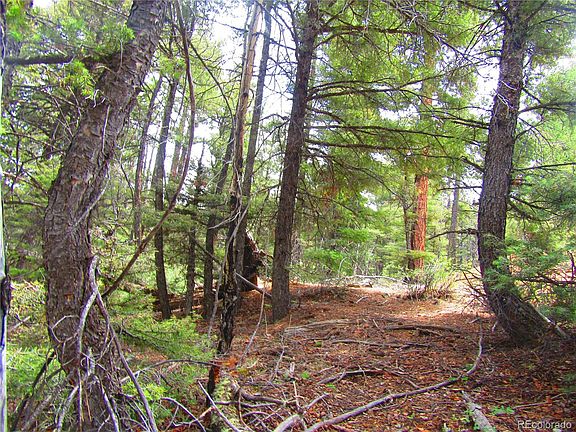 5th image of Lot 6028 Spruce Roads