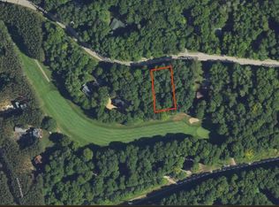 LOT 17 Schuss Mountain Dr, Bellaire, MI 49615