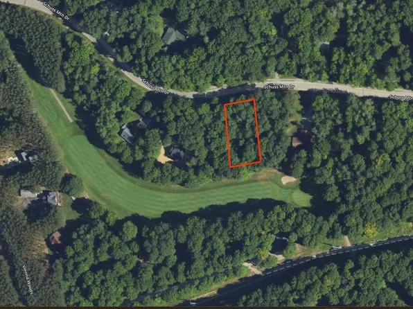 LOT 17 Schuss Mountain Dr, Bellaire, MI 49615