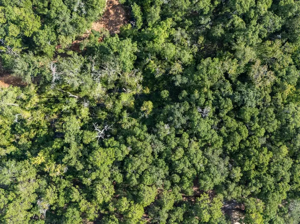 LOT Old Jolly Bay Rd #X, Freeport, FL 32439