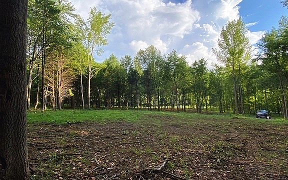 3rd image of 7884 Bill Moss Rd