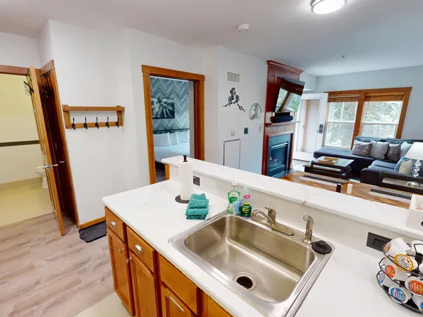 141 Allegheny Springs Ldg, Snowshoe, WV 26209