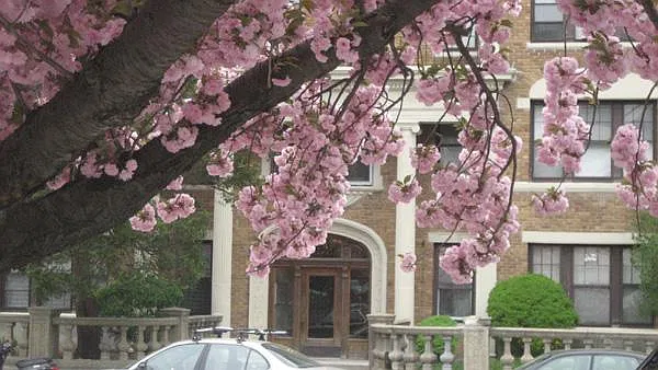 1 bed, 574 sqft, $2,450 — Photo 3