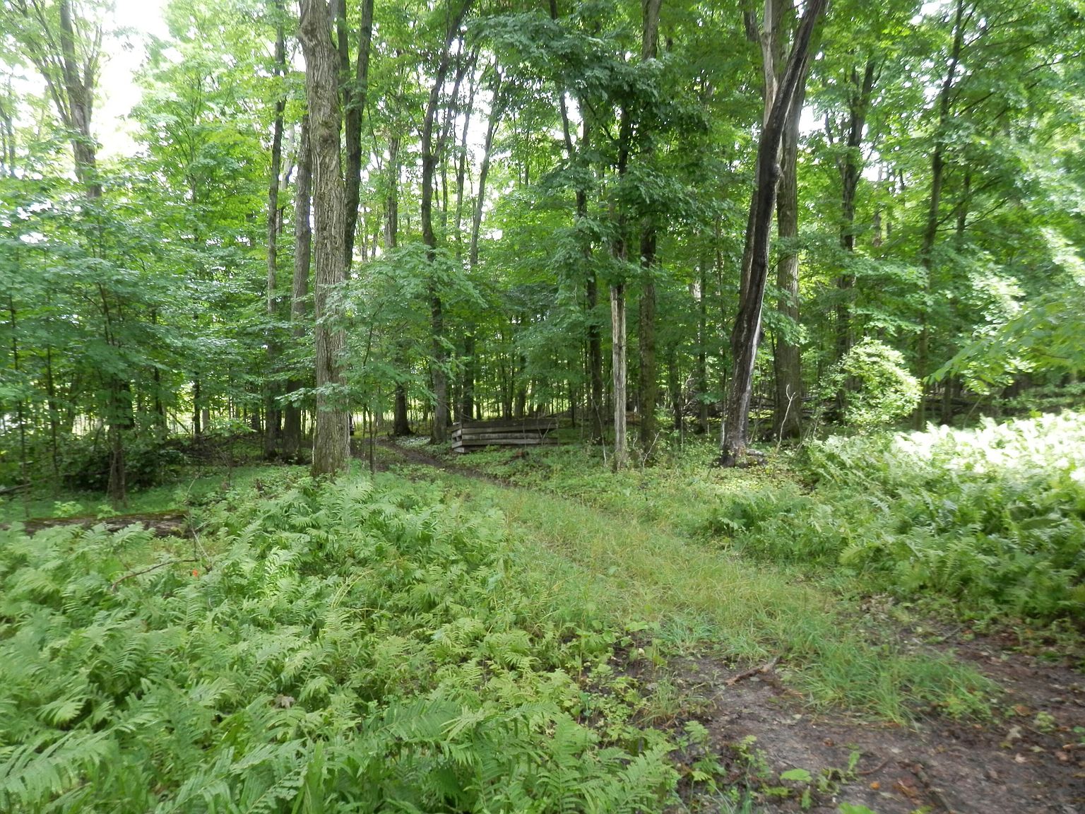 123 W Long Point Rd, Curtis, MI 49820 Zillow