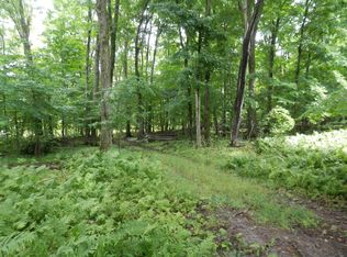 123 W Long Point Rd, Curtis, MI 49820