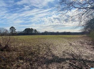 1785 Bearden Rd, Horton, AL 35980