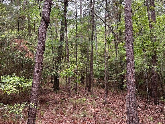 2nd image of R35819 Crooked Branch Rd