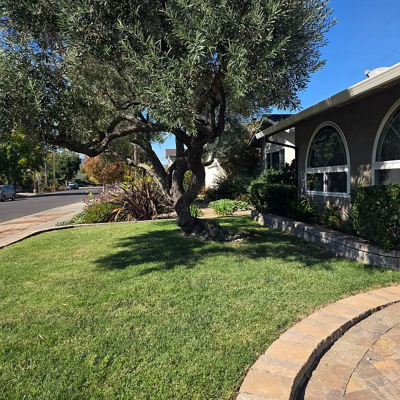 3 bed, 2.0 bath, 1612 sqft, $6,500 — Photo 3