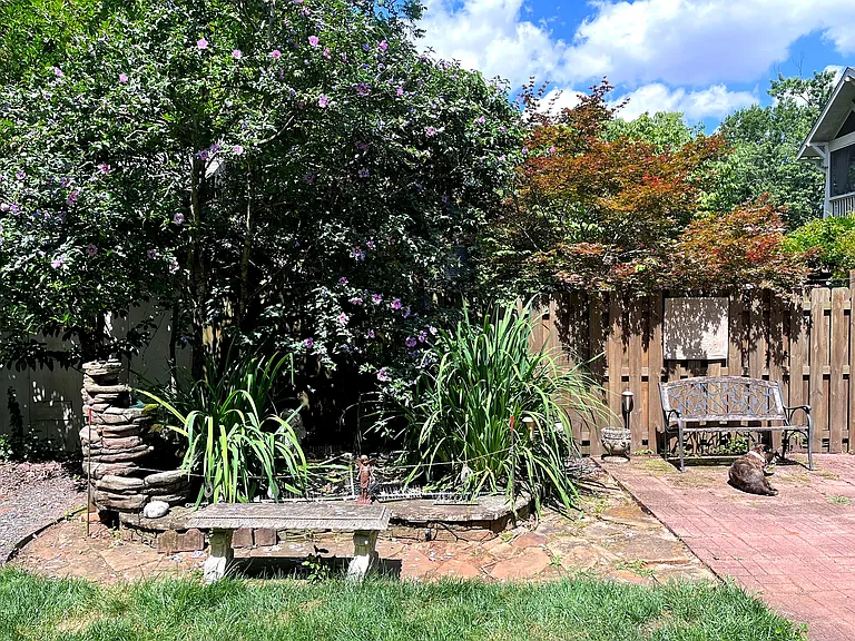 Pond and fountain