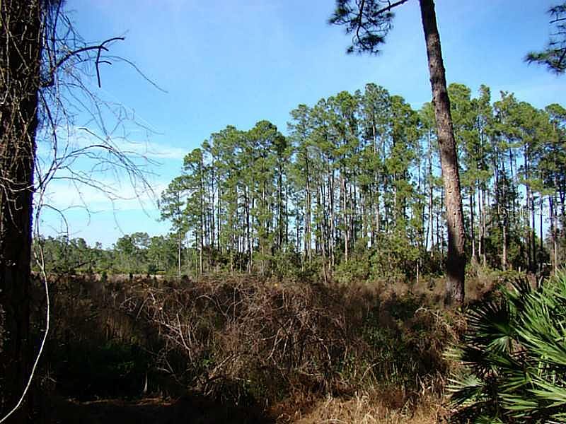 2nd image of McCracken Rd