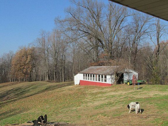 Brooder for you favorite birds ??