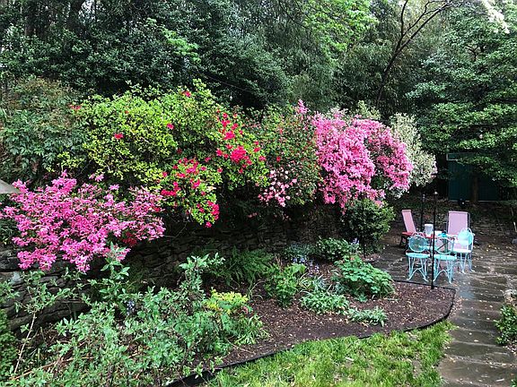 Back garden/patio in the spring
