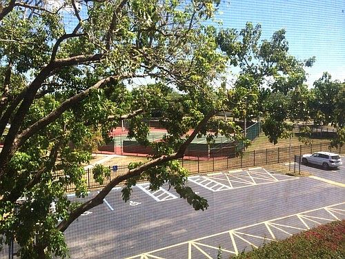 5th image of 6255 Kendale Lakes Cir APT 216