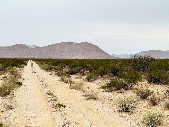 4th image of Ripley Dr
