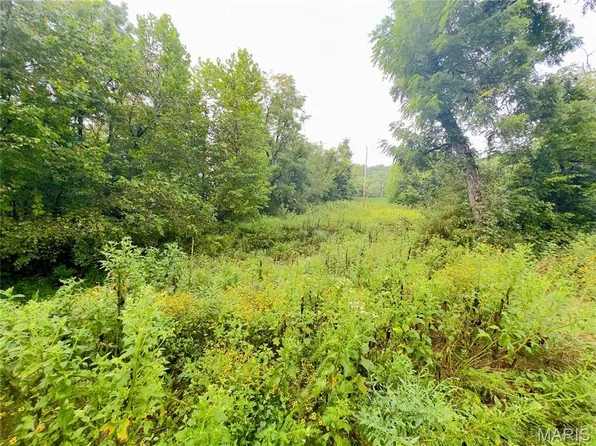 0 Texas Rd, Waynesville, MO 65583
