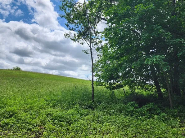 Lot 10 270th Street, Boyceville, WI 54725
