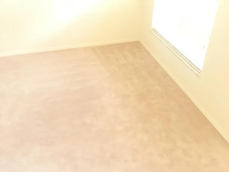 4459 Cherry Branch Ct — Photo 19