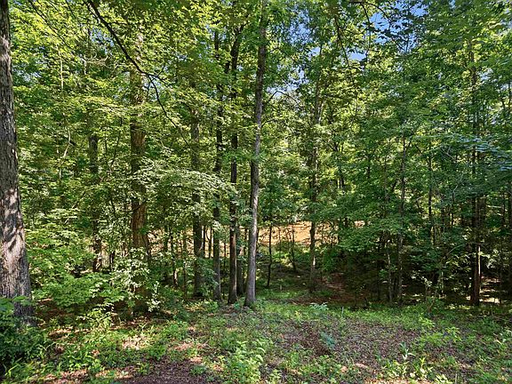 5th image of 216 River Oak Dr