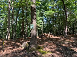 LOT 16 Settawig Overlook Lot 16, Hayesville, NC 28904
