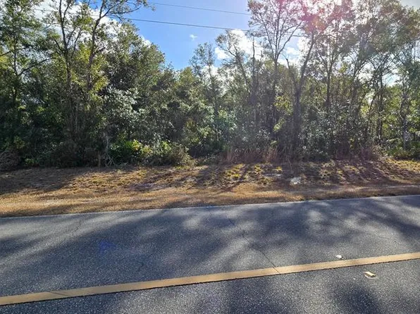  NE 389th Ave, Old Town, FL 32680