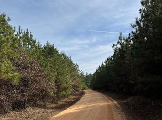 TRACT 4 Grant #28, Grapevine, AR 72057