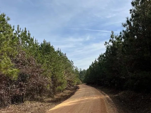 TRACT 4 Grant #28, Grapevine, AR 72057