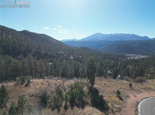 1350 Blue Haven Pl, Woodland Park, CO 80863