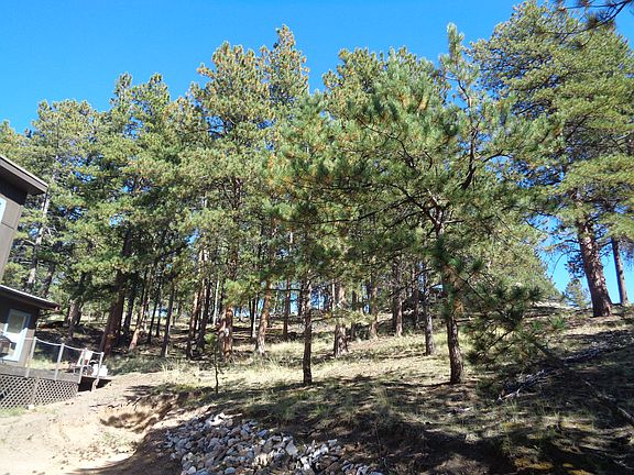 view of backyard