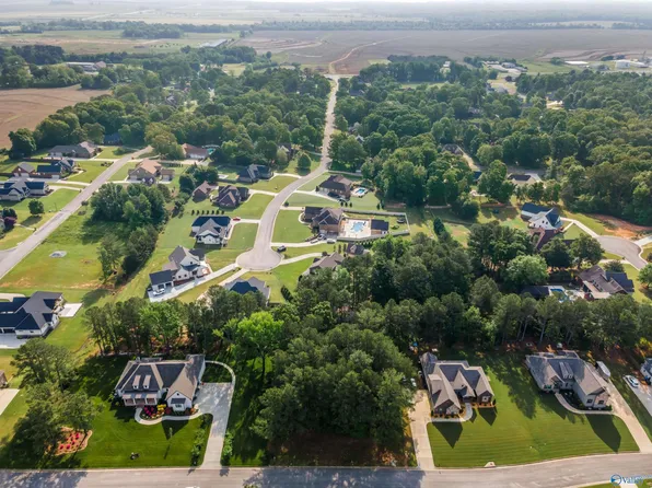 LOT 166 Capitol Hill Dr, Tanner, AL 35671