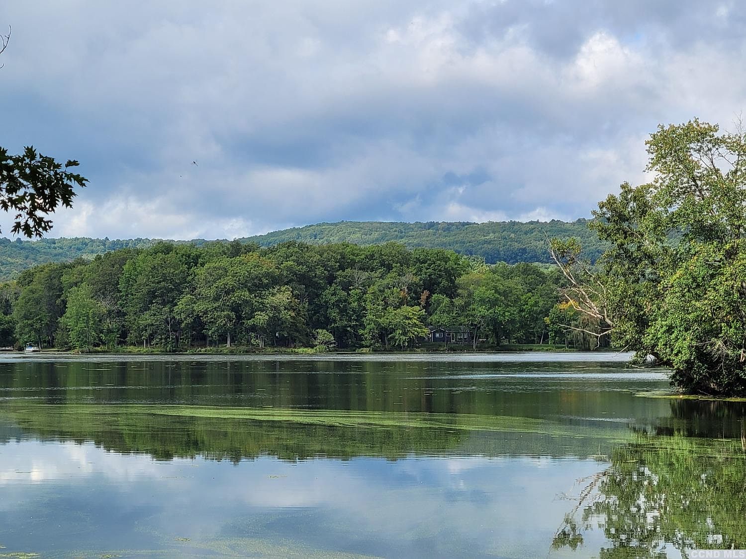 91 Lake Shore Dr, Copake, NY 12516 Zillow