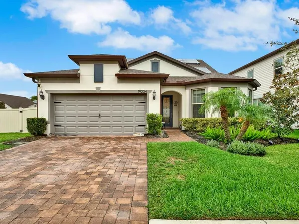 19234 MOSSY PINE DRIVE, TAMPA, FL 33647